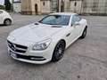 Mercedes-Benz SLK 250 CDI 204 CV Bianco - thumbnail 1