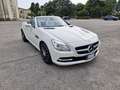 Mercedes-Benz SLK 250 CDI 204 CV Bianco - thumbnail 4