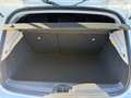 Renault Clio Blue dCi Business 63kW Blanco - thumbnail 9
