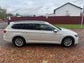 Volkswagen Passat Variant Business NAVI*ACC*LED*ErgoComfort Weiß - thumbnail 6