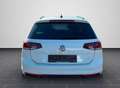 Volkswagen Passat Variant Business NAVI*ACC*LED*ErgoComfort Bianco - thumbnail 5