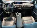 Lexus UX 300e Executive LED PDC KLIMA KAMERA Grau - thumbnail 14
