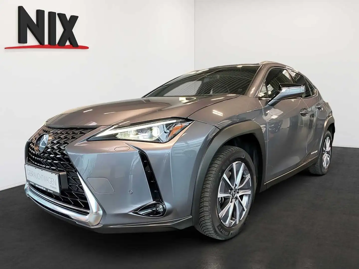 Lexus UX 300e Executive LED PDC KLIMA KAMERA Grau - 1