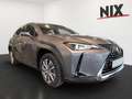 Lexus UX 300e Executive LED PDC KLIMA KAMERA Grau - thumbnail 2
