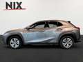 Lexus UX 300e Executive LED PDC KLIMA KAMERA Grau - thumbnail 6