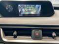 Lexus UX 300e Executive LED PDC KLIMA KAMERA Grau - thumbnail 13