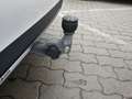 Mercedes-Benz E 220 d T Panorama AHV Weiß - thumbnail 20