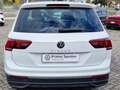 Volkswagen Tiguan Tiguan 2.0 tdi Life 150cv dsg Blanco - thumbnail 6