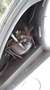 Jaguar MK II Plateado - thumbnail 17