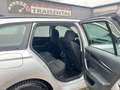 Skoda Octavia Kombi 2.0 TDI Ambition DSG Silber - thumbnail 15
