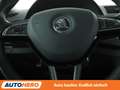 Skoda Fabia 1.2 TSI Style Aut.*LIMITER*PDC*SHZ* Grau - thumbnail 19