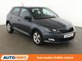 Skoda Fabia 1.2 TSI Style Aut.*LIMITER*PDC*SHZ* Grau - thumbnail 8