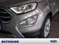 Ford EcoSport 1.0 Titanium SHZ KAMERA NAVI AHK B&O Silber - thumbnail 21