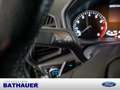 Ford EcoSport 1.0 Titanium SHZ KAMERA NAVI AHK B&O Silber - thumbnail 15