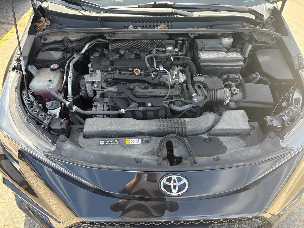 Toyota Corolla снимка Toyota Corolla