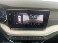 Skoda Octavia Style TDI Grau - thumbnail 17