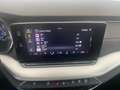 Skoda Octavia Style TDI Grau - thumbnail 20