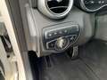 Mercedes-Benz C 63 AMG C 63 AMG COM/Distr/Burmester/Mem/Sitzklima/KeyGo Blanc - thumbnail 11