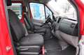 Mercedes-Benz Sprinter II 313/CDI / Klima / Rampe / Maxi / PDC Rot - thumbnail 11