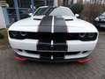 Dodge Challenger 6,4 Scat Pack Weiß - thumbnail 6