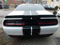 Dodge Challenger 6,4 Scat Pack Weiß - thumbnail 10