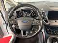 Ford C-Max Titanium 1.Hand/NAVI/Kamera Blanc - thumbnail 13