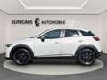 Mazda CX-3 SKYACTIV REVOLUTION / ACC ABSTANDS / RÜCKFAHR/ VO Weiß - thumbnail 7