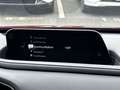 Mazda CX-30 SKYACTIV-X Automatik|Bose|Klimaaut.|Kamera Rot - thumbnail 15