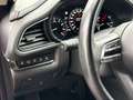 Mazda CX-30 SKYACTIV-X Automatik|Bose|Klimaaut.|Kamera Rot - thumbnail 19