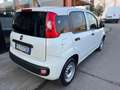 Fiat Panda 1.2 Pop Van 2 posti Bianco - thumbnail 13