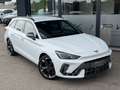CUPRA Leon Leon 2.0 TDI  1.BESITZ Weiß - thumbnail 4
