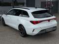 CUPRA Leon Leon 2.0 TDI  1.BESITZ Weiß - thumbnail 5