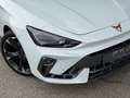 CUPRA Leon Leon 2.0 TDI  1.BESITZ Weiß - thumbnail 3