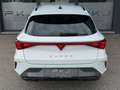 CUPRA Leon Leon 2.0 TDI  1.BESITZ Weiß - thumbnail 6