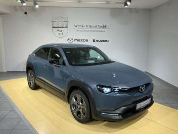 *BOSE*Matrix*Head-Up*LHZ*SHZ*DAB*