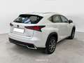 Lexus NX 300 NX Hybrid 4WD Executive FINO A 3 ANNI DI GARANZIA KM ILLIMITATI PARI ALLA NUOVA Blanco - thumbnail 3