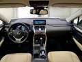 Lexus NX 300 NX Hybrid 4WD Executive FINO A 3 ANNI DI GARANZIA KM ILLIMITATI PARI ALLA NUOVA Blanco - thumbnail 9