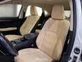 Lexus NX 300 NX Hybrid 4WD Executive FINO A 3 ANNI DI GARANZIA KM ILLIMITATI PARI ALLA NUOVA Blanco - thumbnail 11