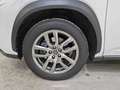 Lexus NX 300 NX Hybrid 4WD Executive FINO A 3 ANNI DI GARANZIA KM ILLIMITATI PARI ALLA NUOVA Blanco - thumbnail 20