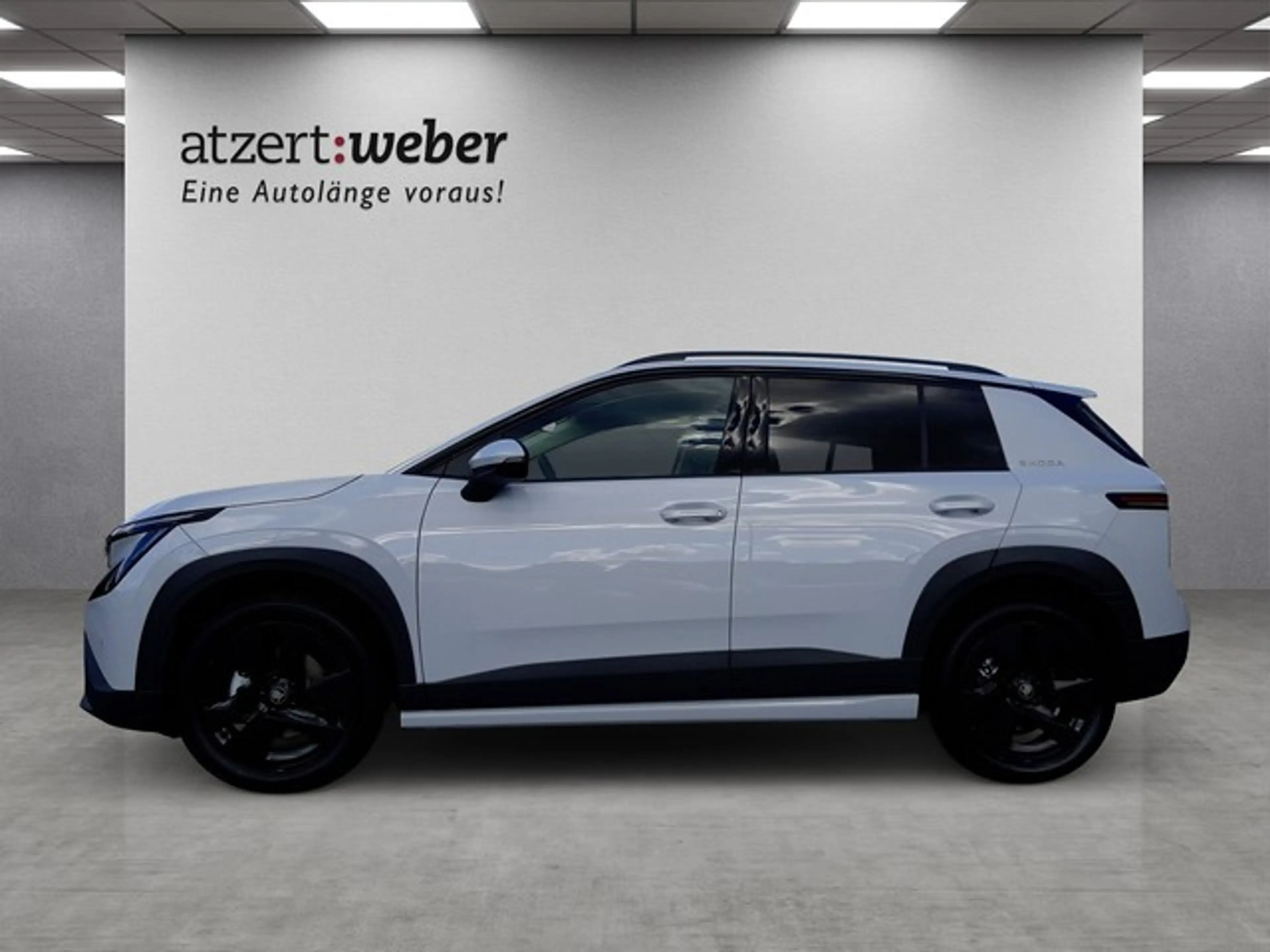 Skoda Epiq Edition Eins 55 Matrix Kamera ACC PDC SHZ — photo 4