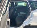 SEAT Ateca 1.5 TSI ACT OPF Xperience Weiß - thumbnail 8