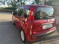 Fiat Panda Panda III 2012 1.3 mjt 16v Easy s Rosso - thumbnail 2