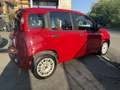 Fiat Panda Panda III 2012 1.3 mjt 16v Easy s Rosso - thumbnail 7