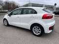 Kia Rio Rio 1.2 CVVT 5p. Cool*Neo patentati * Blanc - thumbnail 8