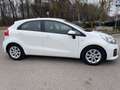 Kia Rio Rio 1.2 CVVT 5p. Cool*Neo patentati * Blanc - thumbnail 5