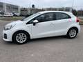 Kia Rio Rio 1.2 CVVT 5p. Cool*Neo patentati * Blanc - thumbnail 1