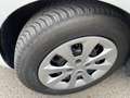Kia Rio Rio 1.2 CVVT 5p. Cool*Neo patentati * Blanc - thumbnail 20