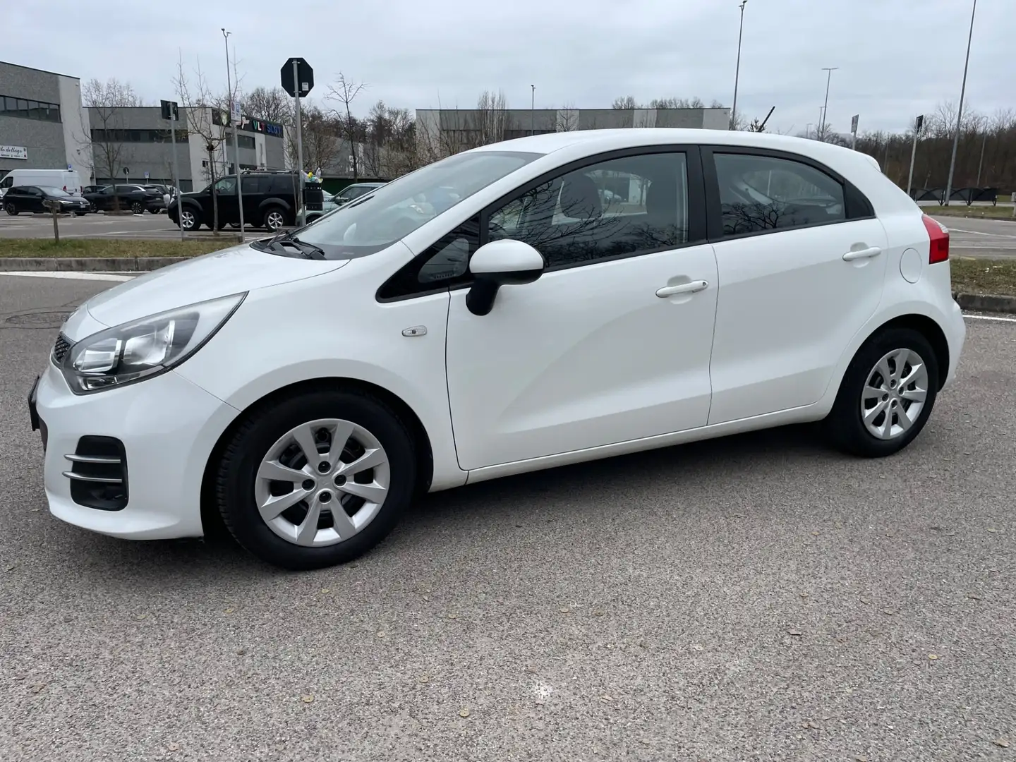 Kia Rio Rio 1.2 CVVT 5p. Cool*Neo patentati * Blanc - 2