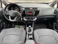 Kia Rio Rio 1.2 CVVT 5p. Cool*Neo patentati * Blanc - thumbnail 16