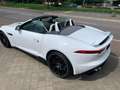 Jaguar F-Type Cabrio V8 S,1.Hand,Einzelstück,TOP GEPFL. Alb - thumbnail 5